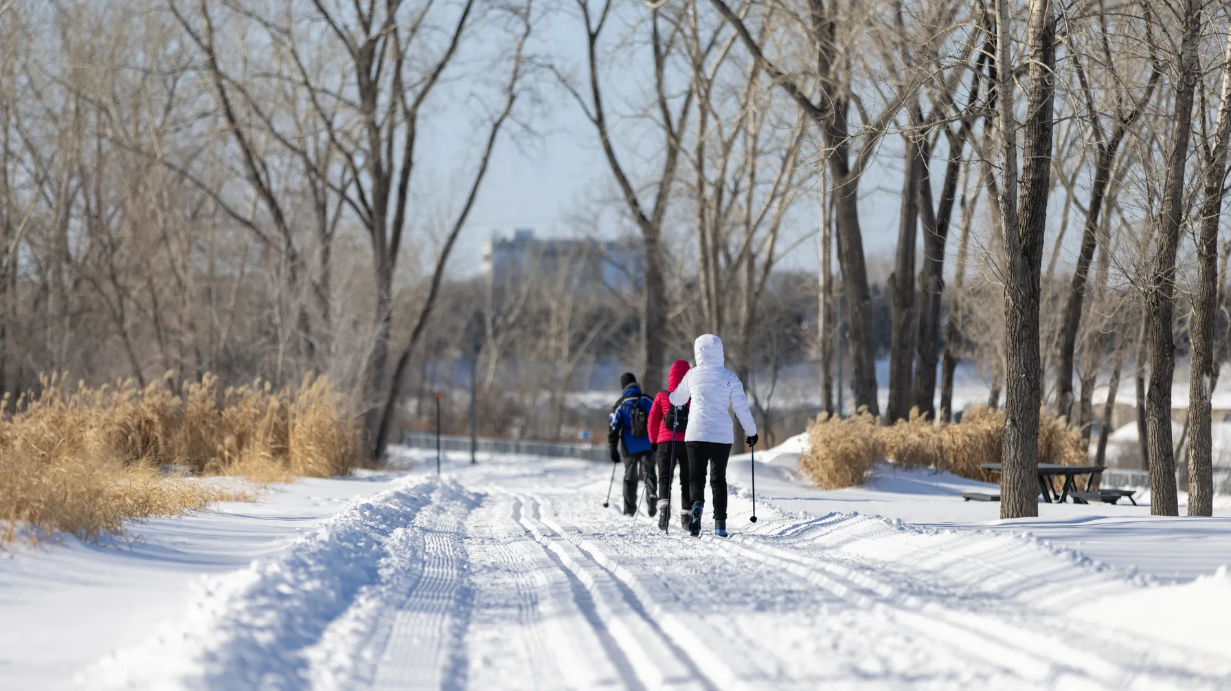 Montréal en décembre : vivez la magie des fêtes au cœur de l'hiver article