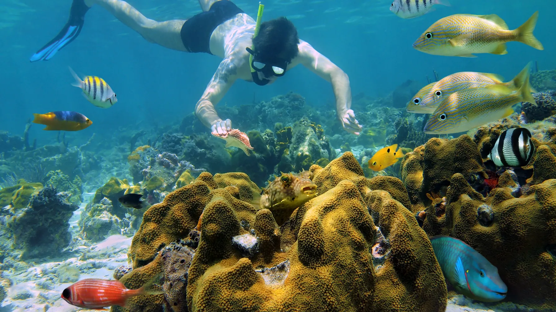 Things to do in Cancún article
