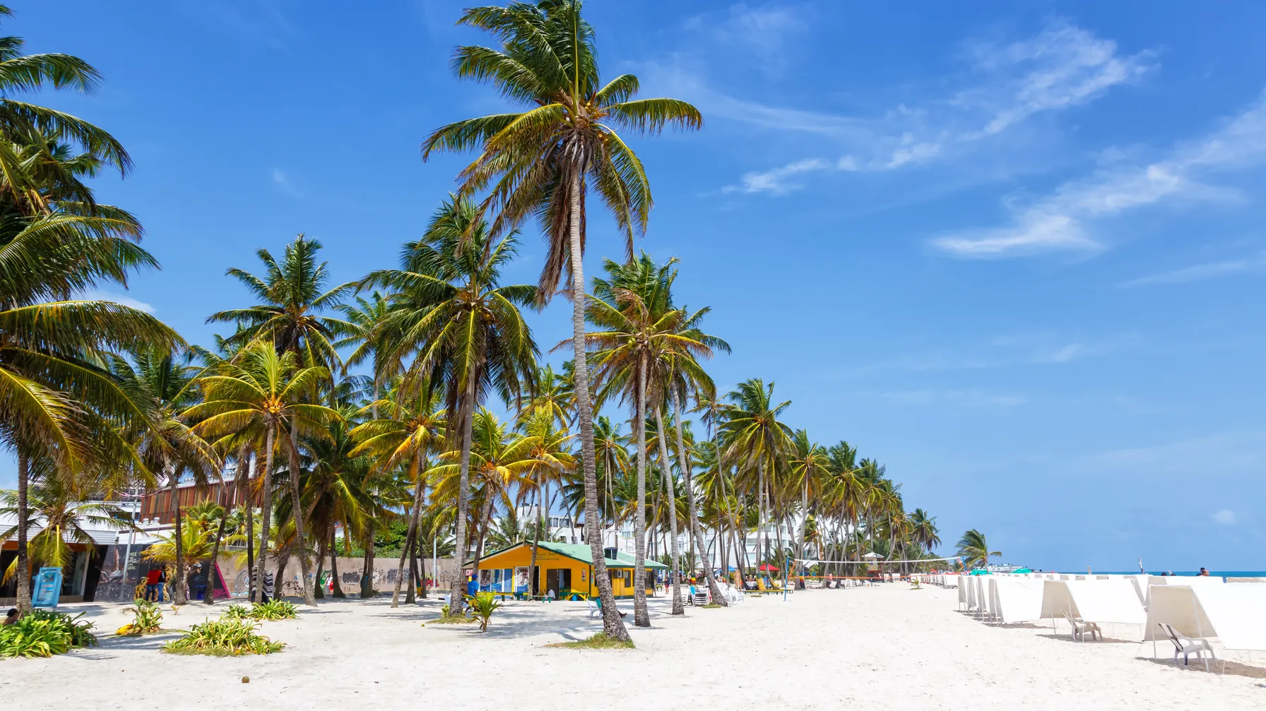 Colombia in August: is it the right time to go? article