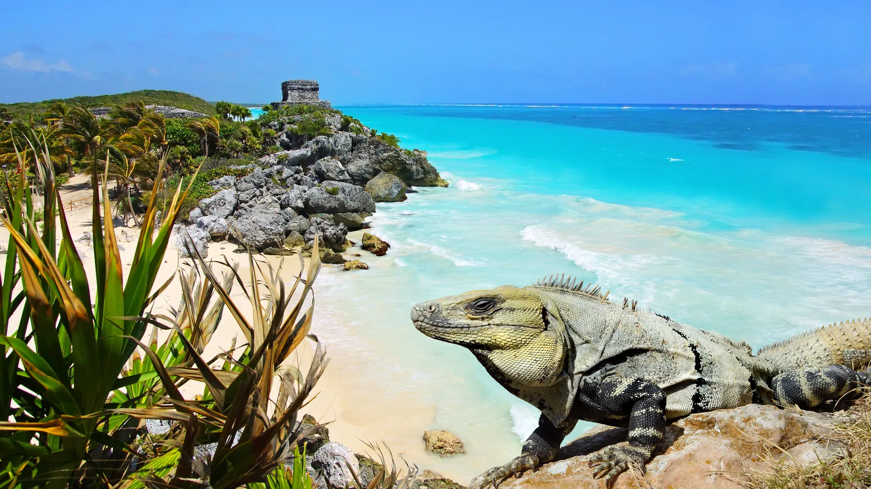 Que faire à Tulum article