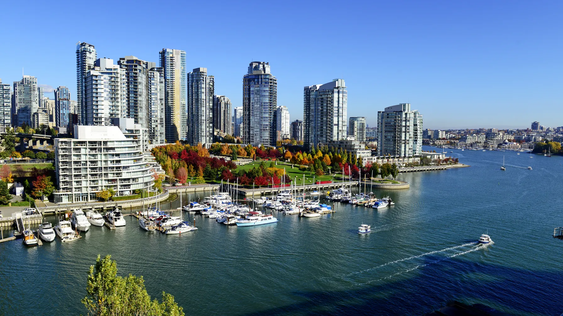Vancouver en octobre : que découvre-t-on à l'automne sur la côte Pacifique ? article