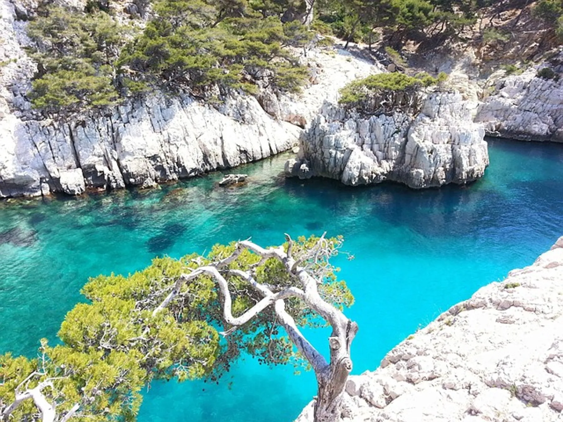 Calanques of Marseille