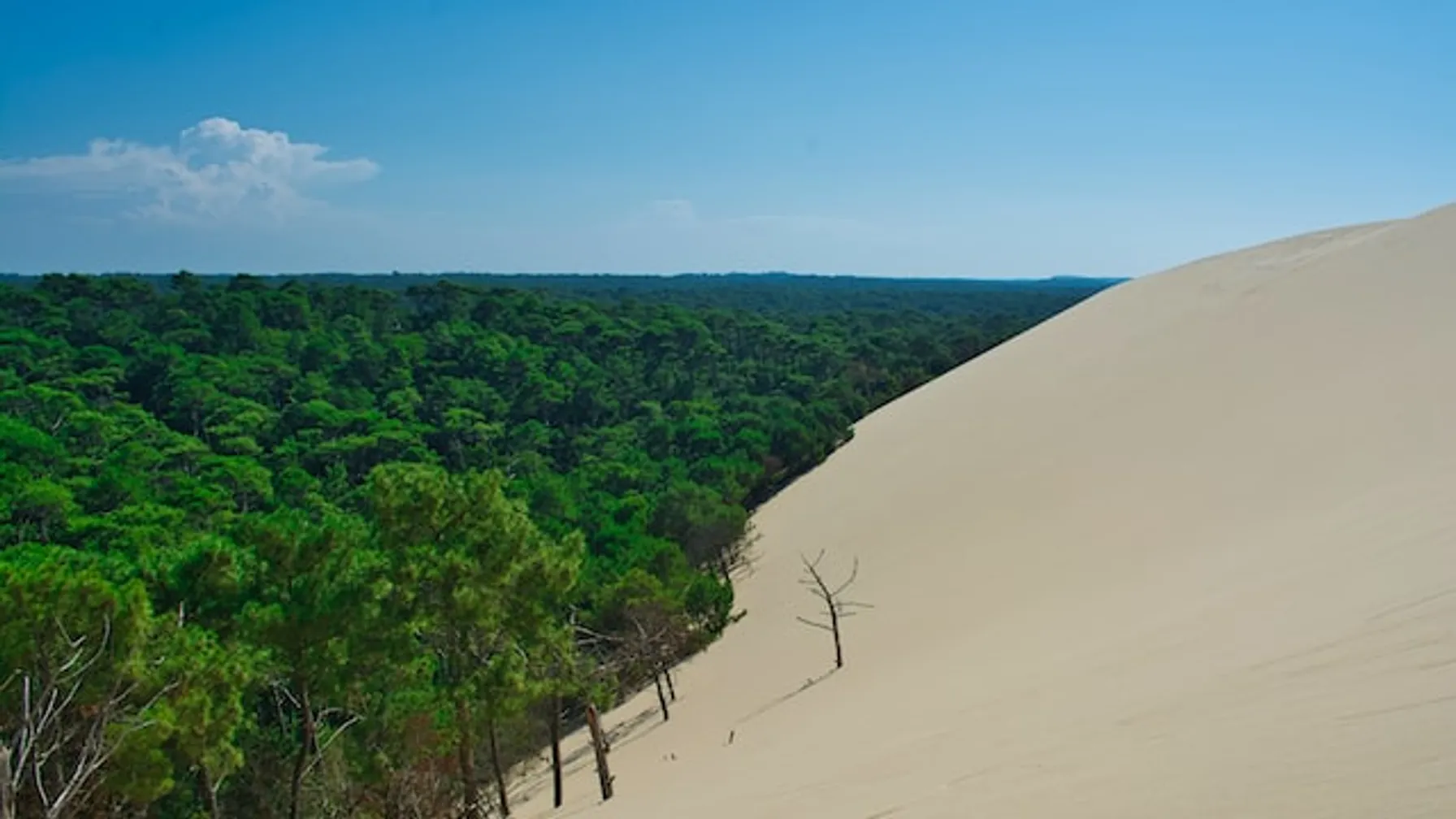 Dune of Pilat