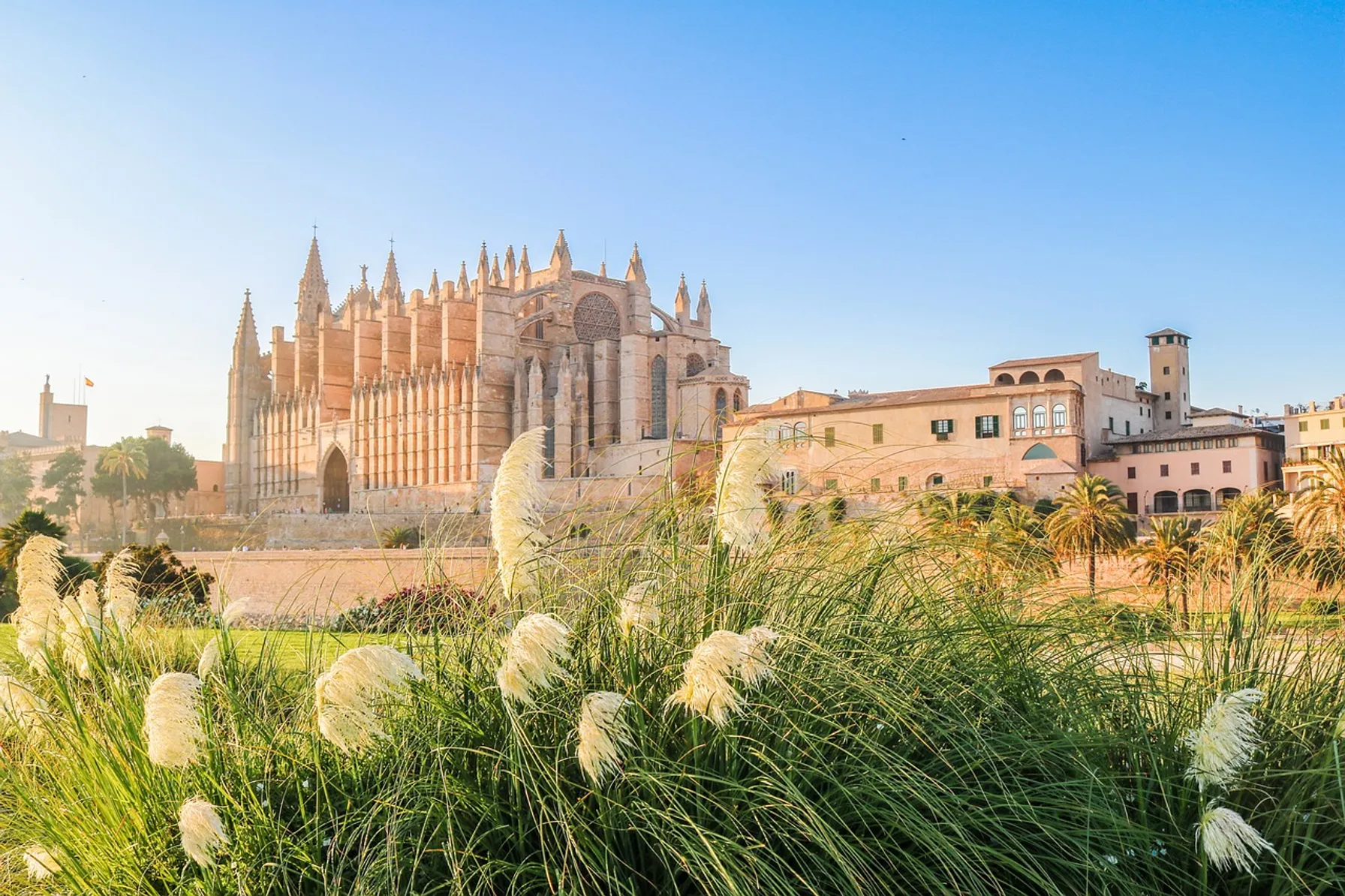 Palma
