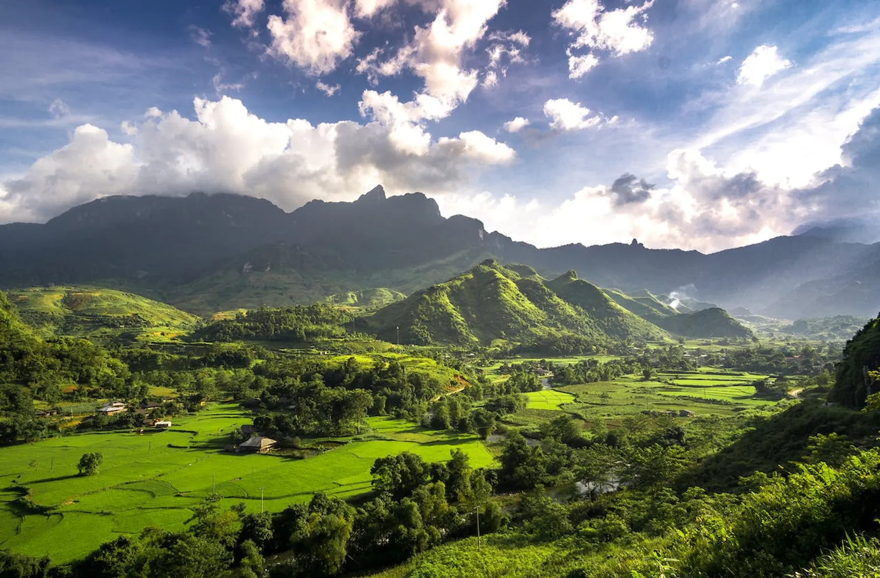 New Guinea