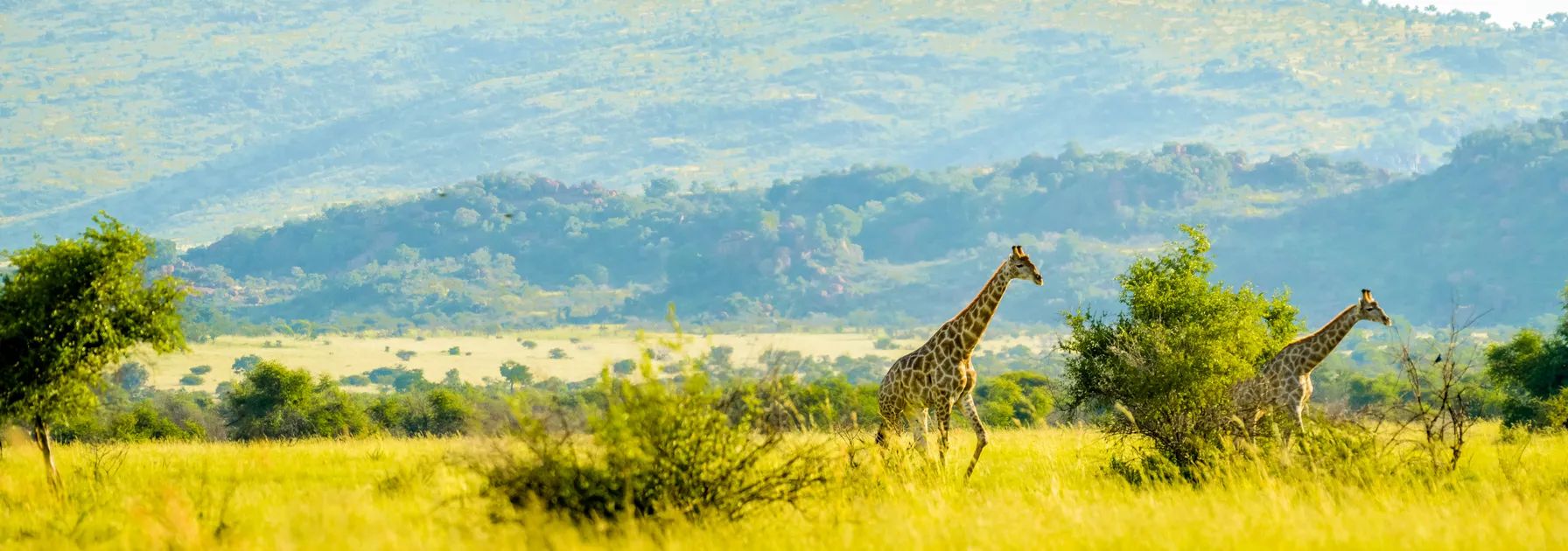 Pilanesberg National Park