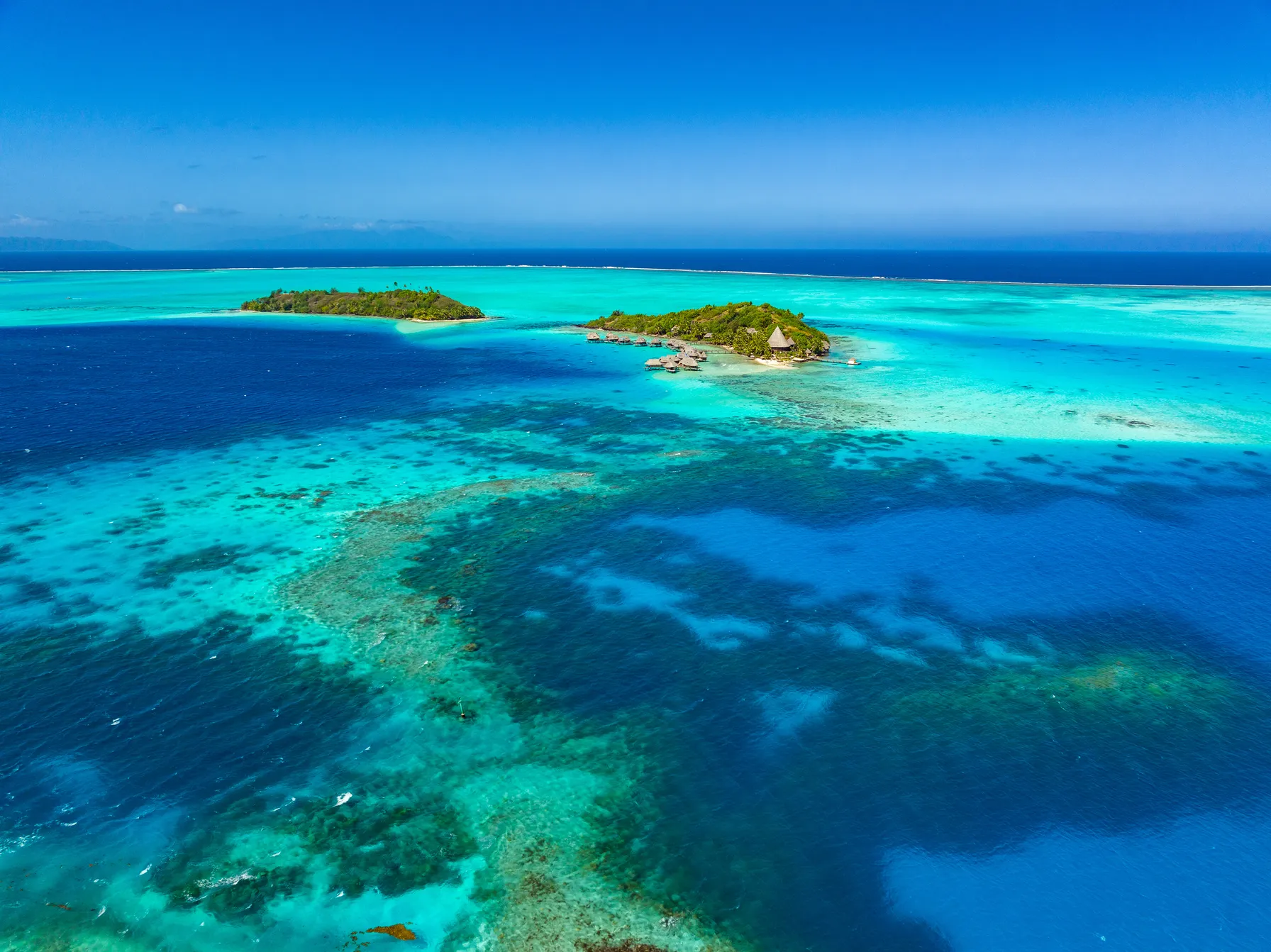 Tahaa