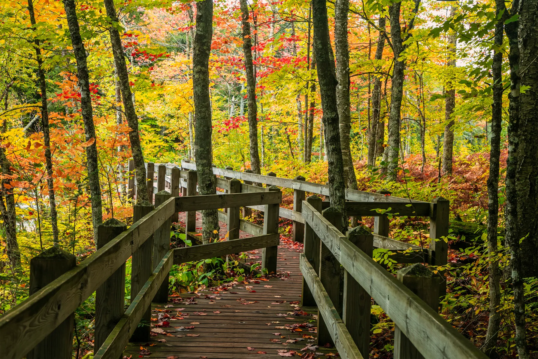 Parc d'État de Presque Isle