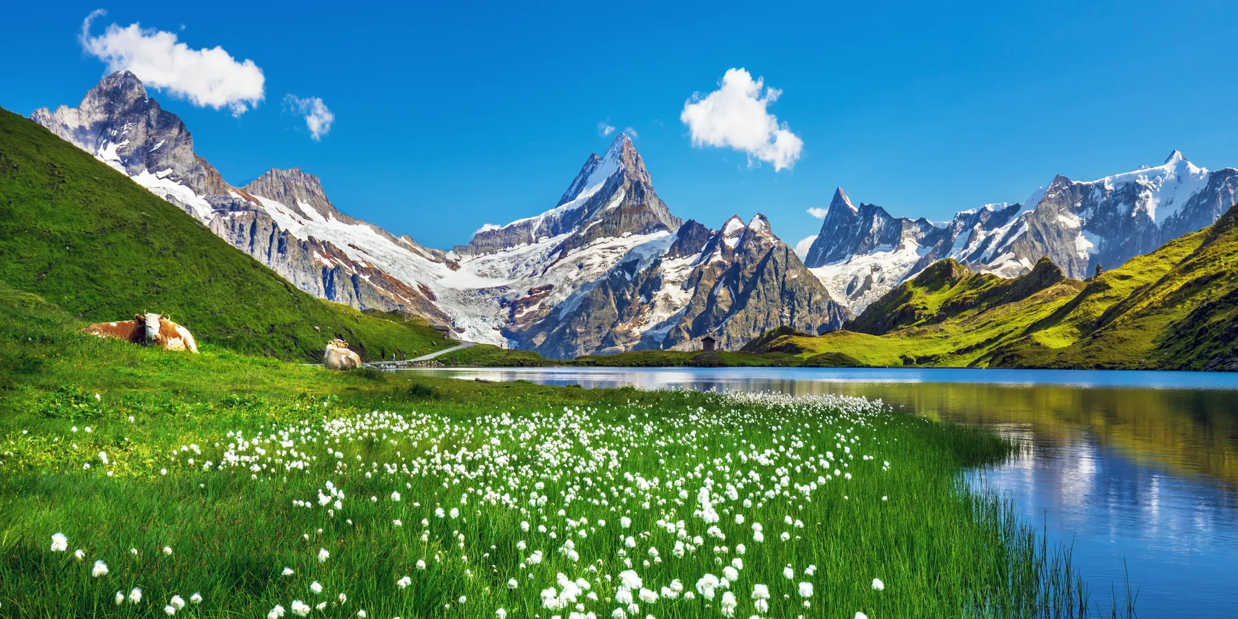 Suisse