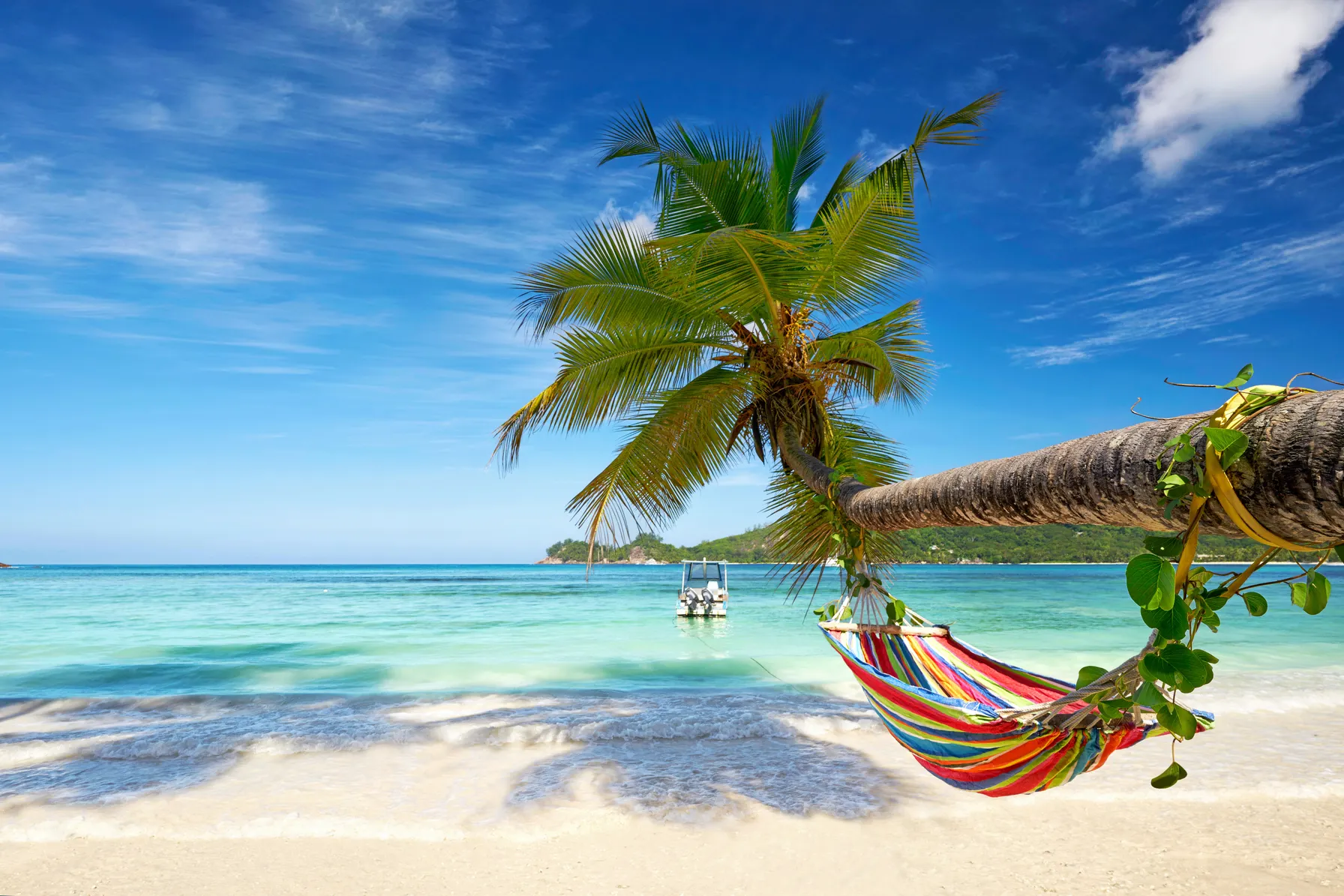 Caribbean