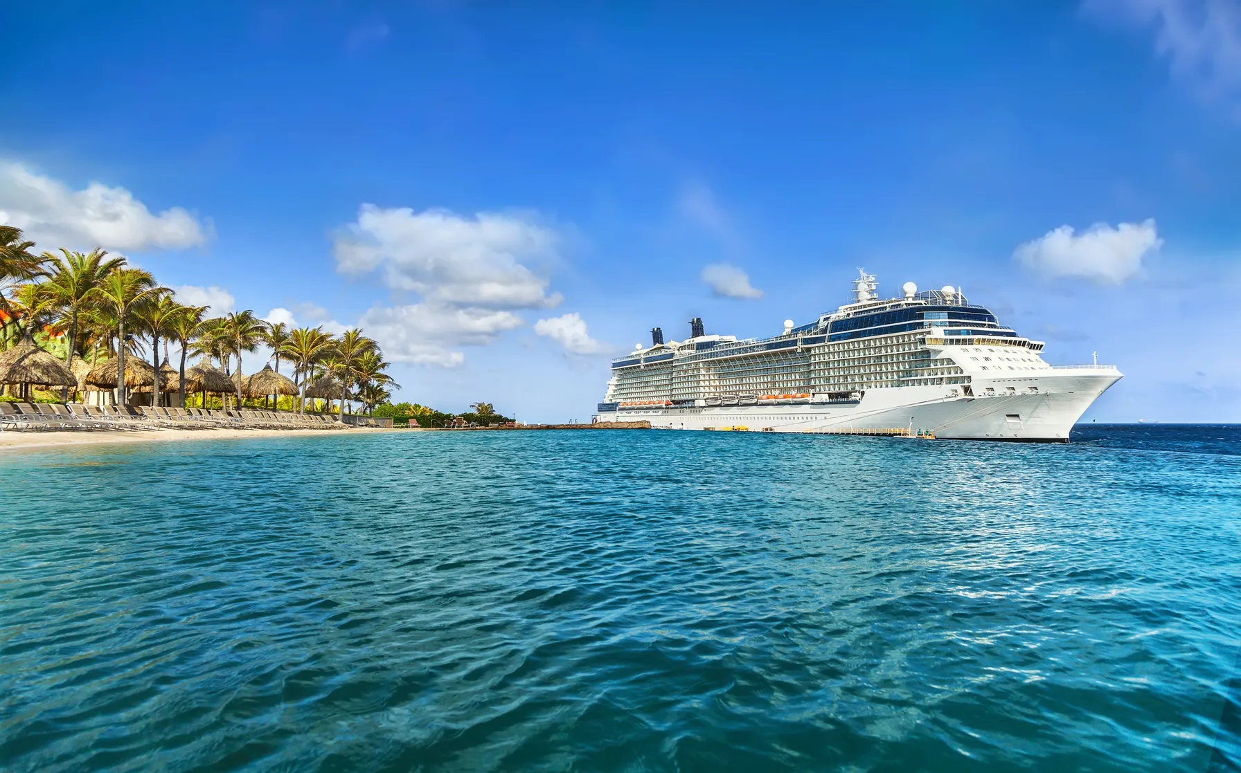 Cruise