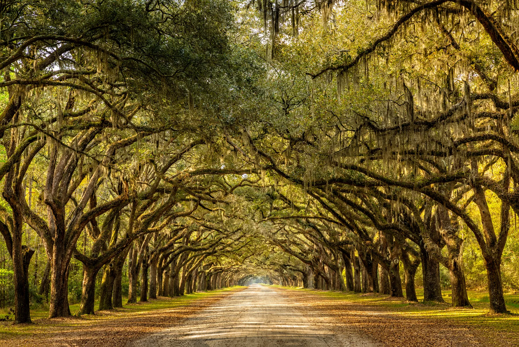 Great South
