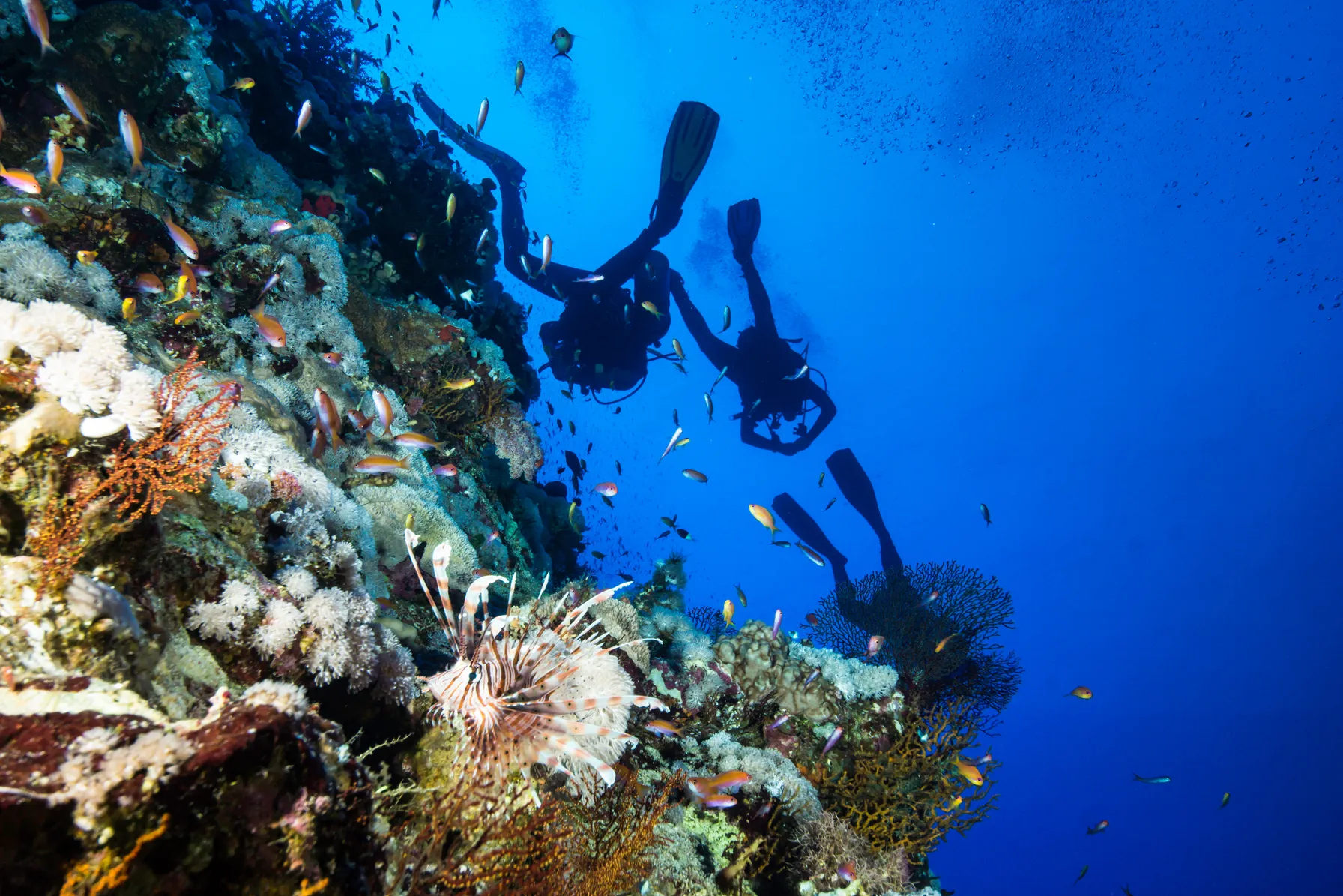 Red Sea & Sinai