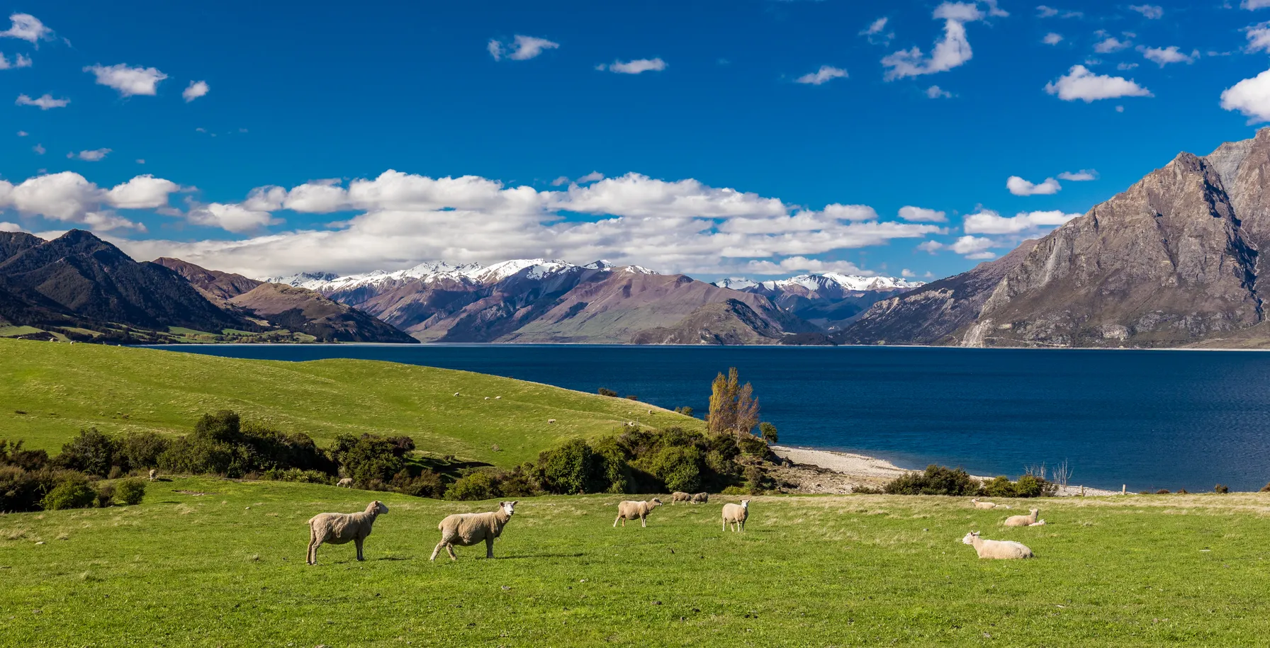 New Zealand