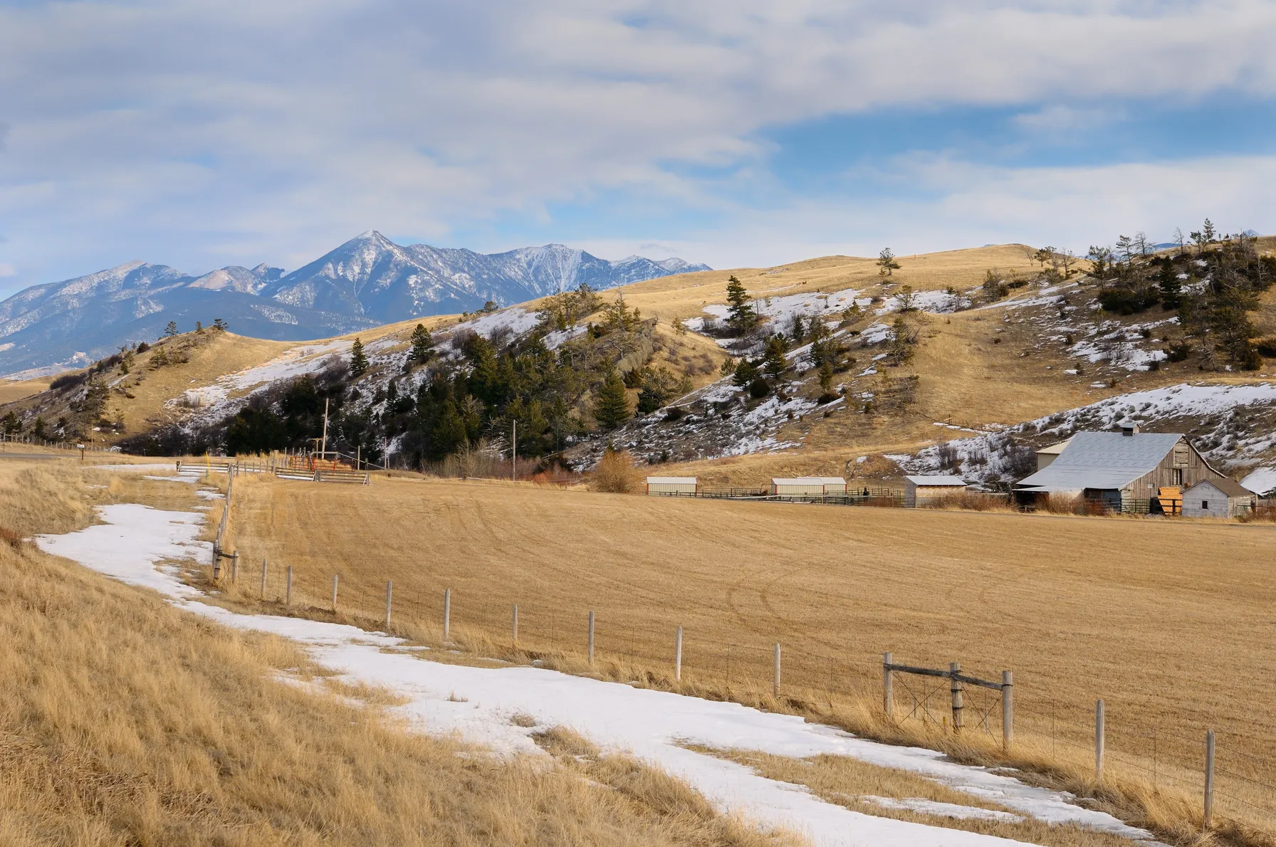 Bozeman