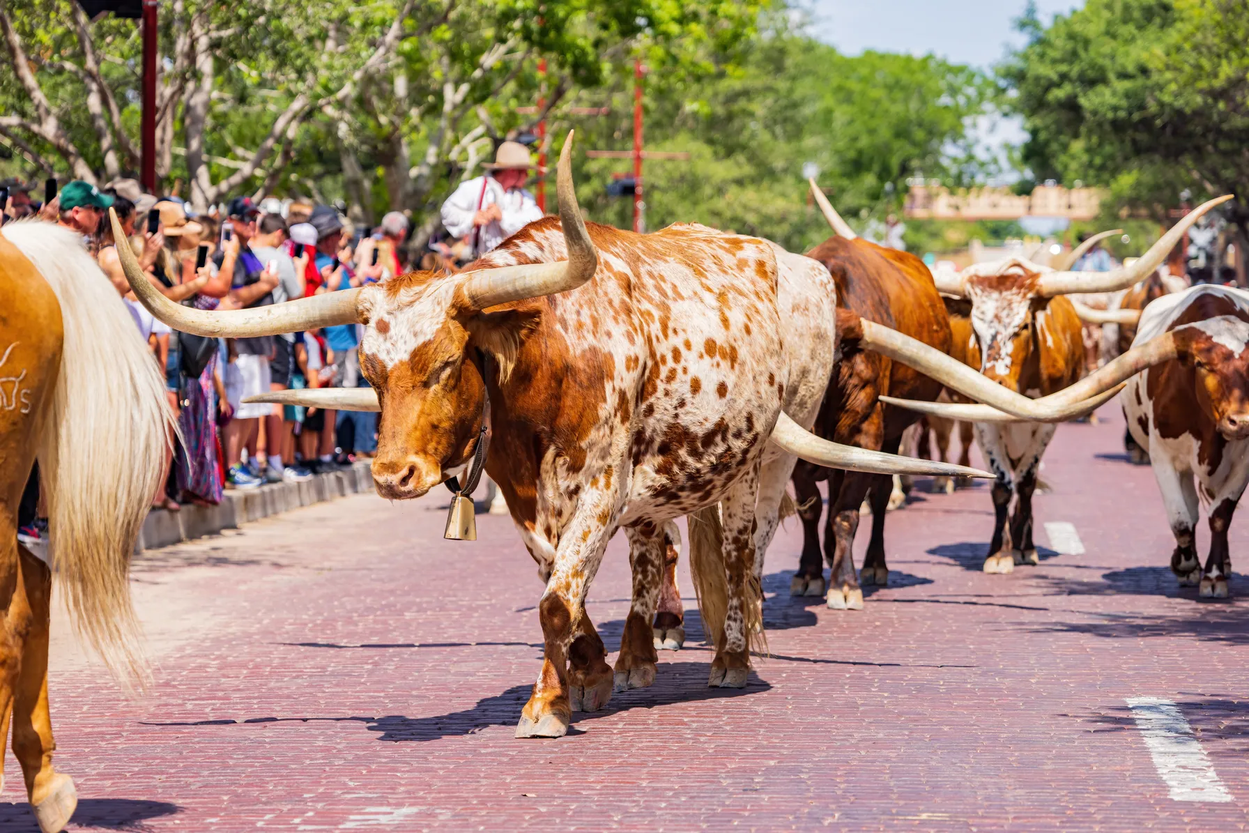 Fort Worth