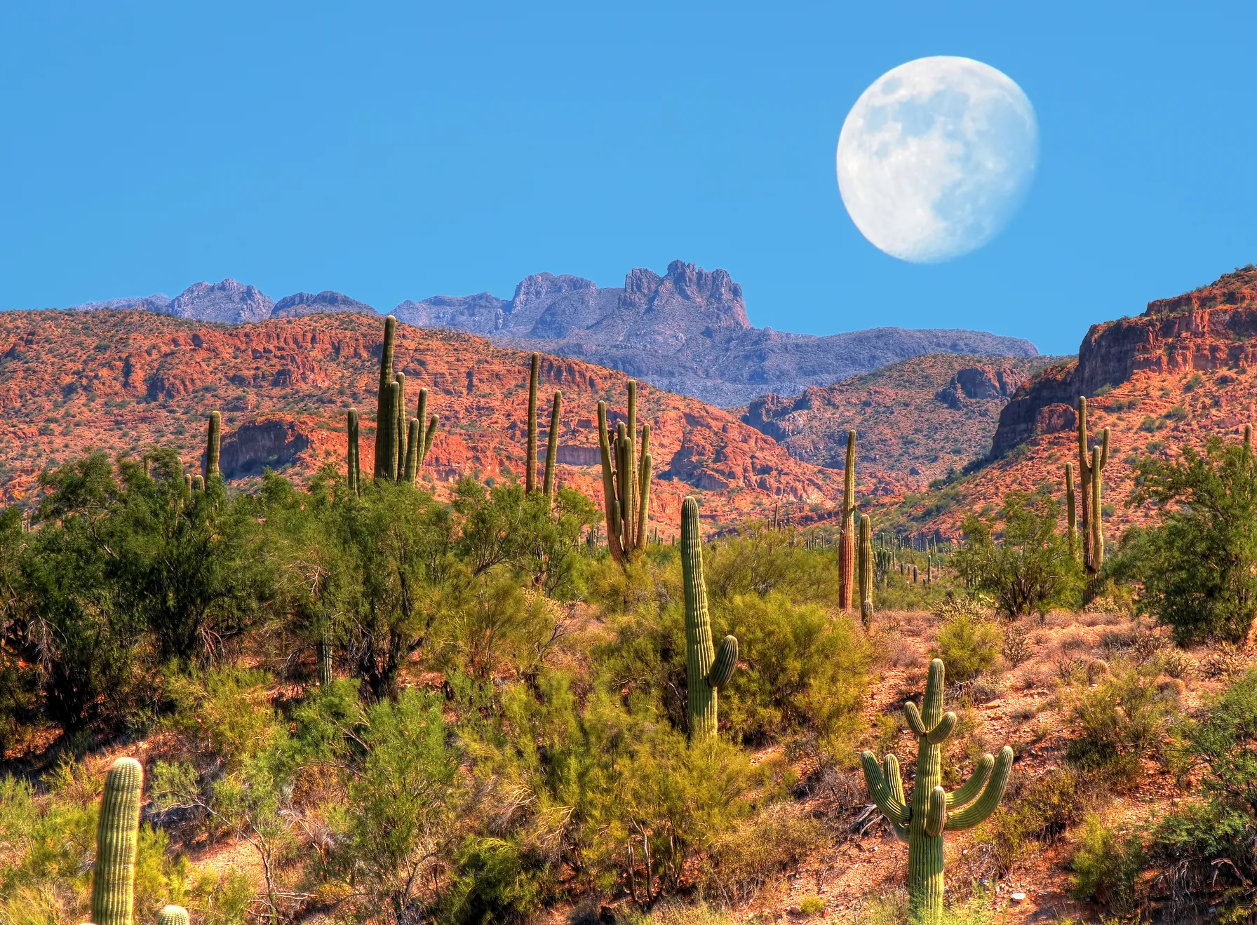 New Mexico
