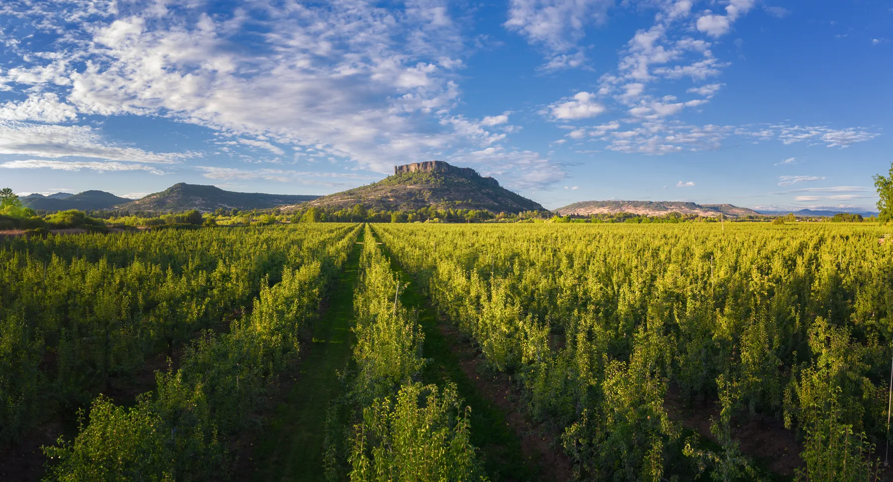 Oregon