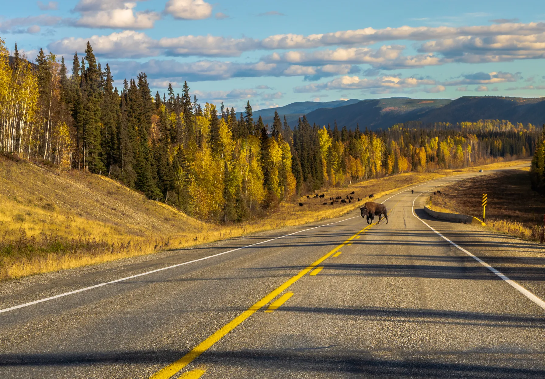 Great North & Yukon