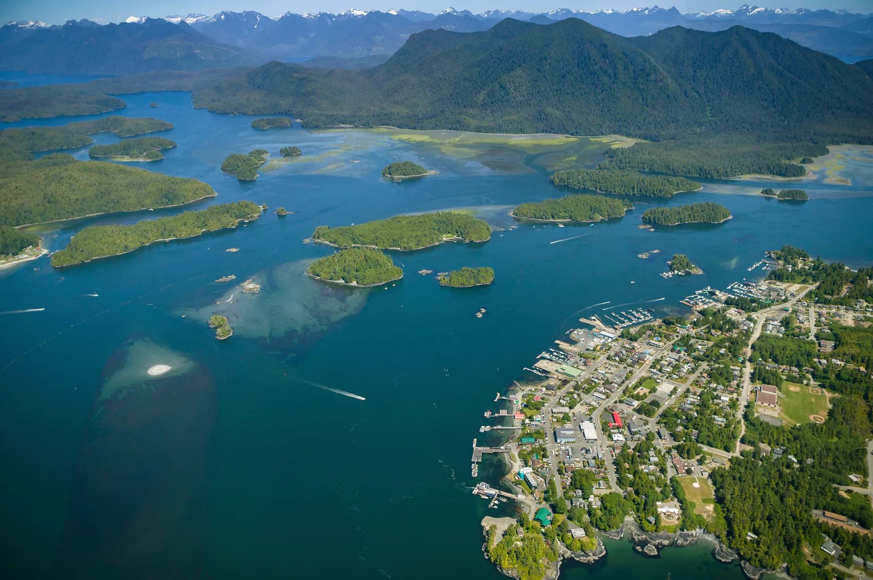 Tofino