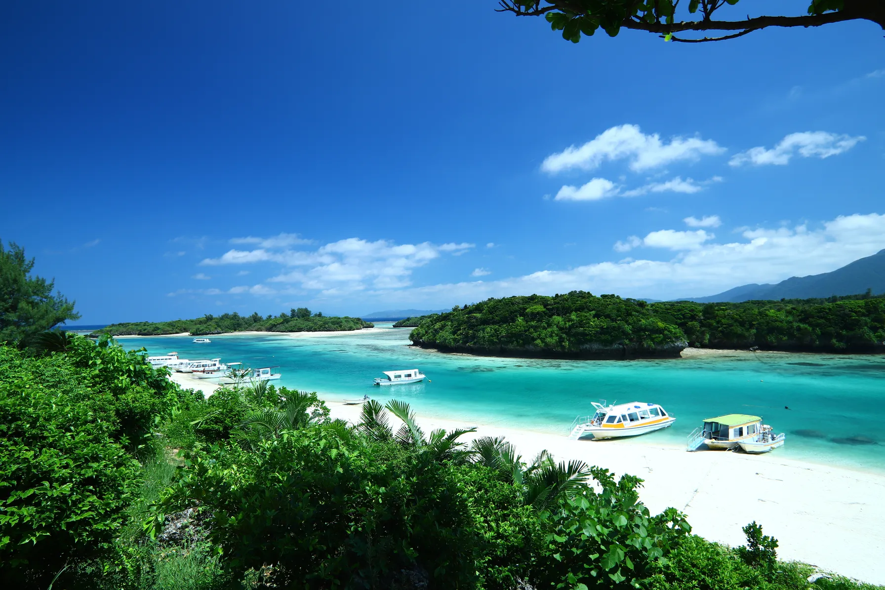 Ishigaki