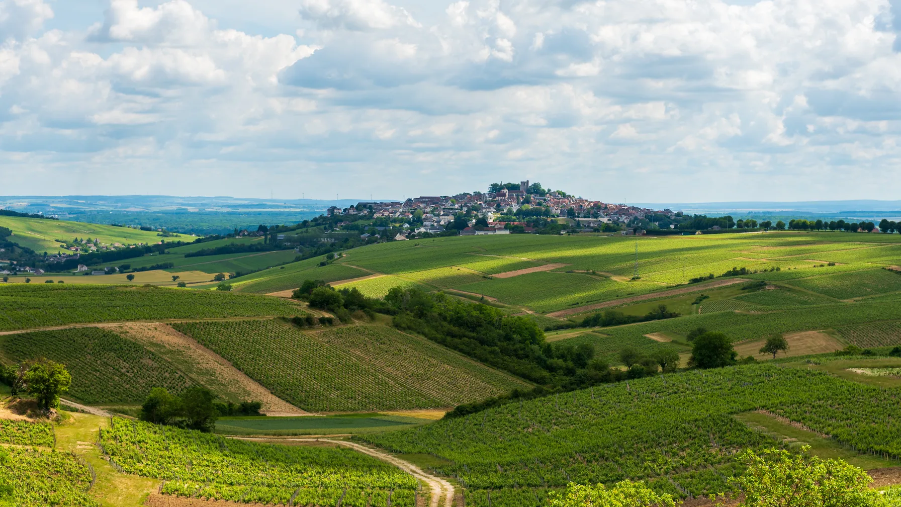 Sancerre