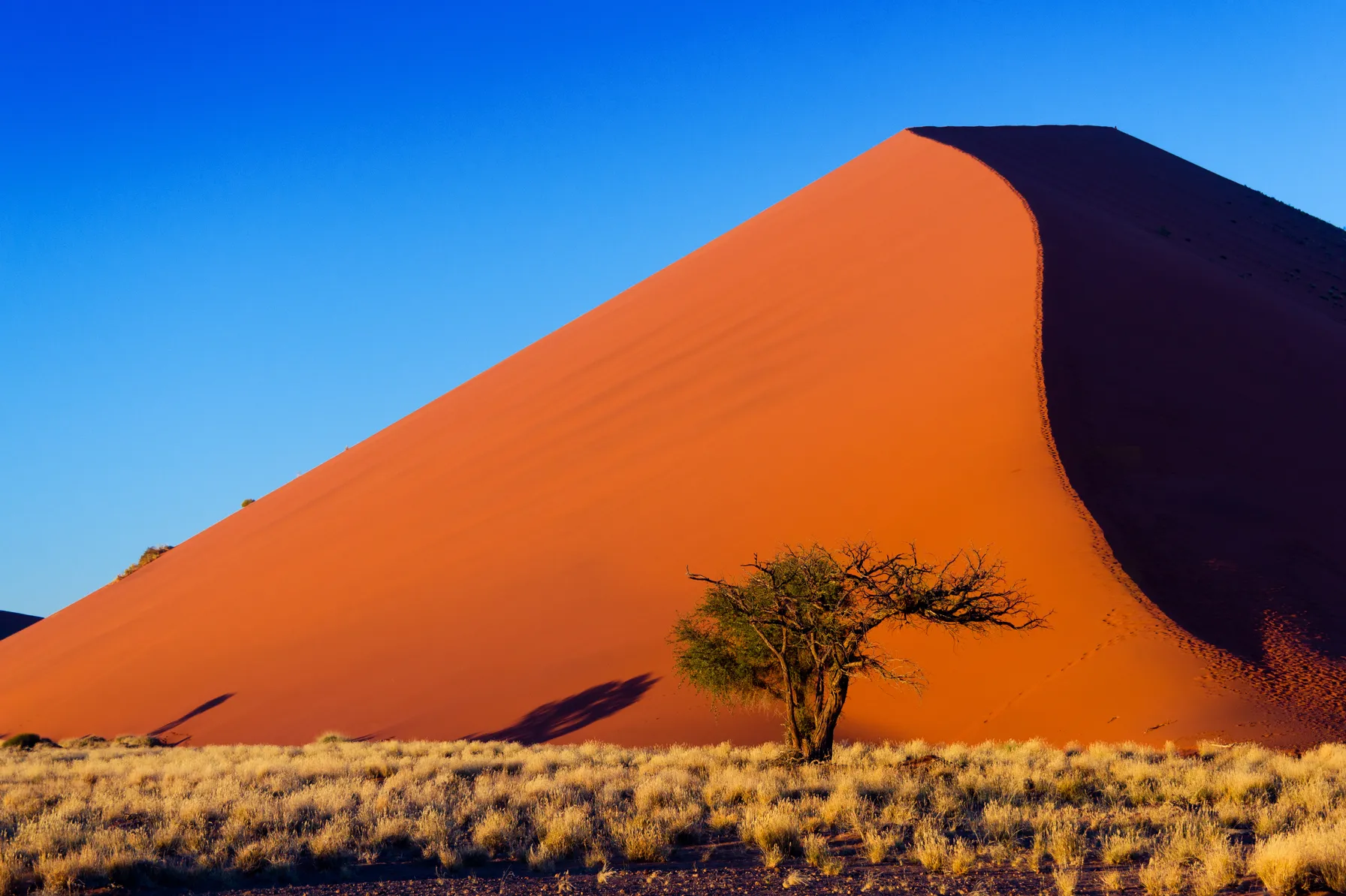 Tour in Namibia
