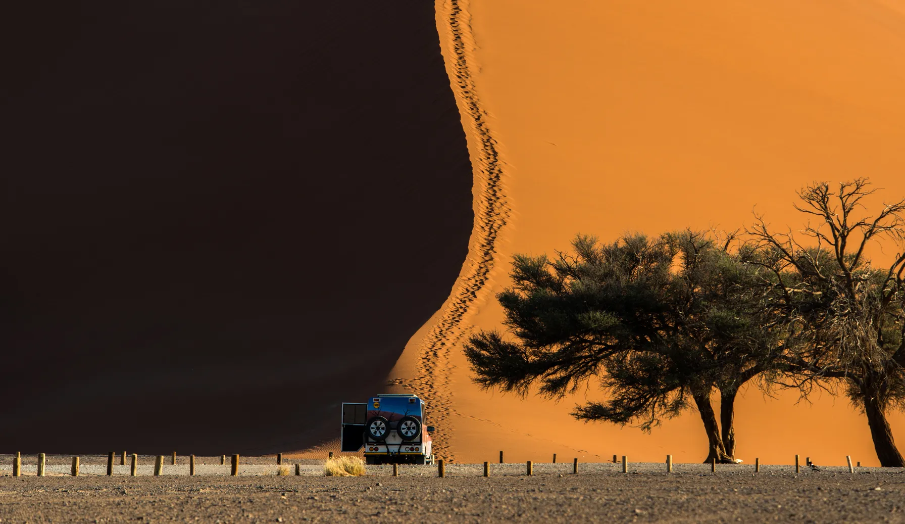 Safari en Namibie