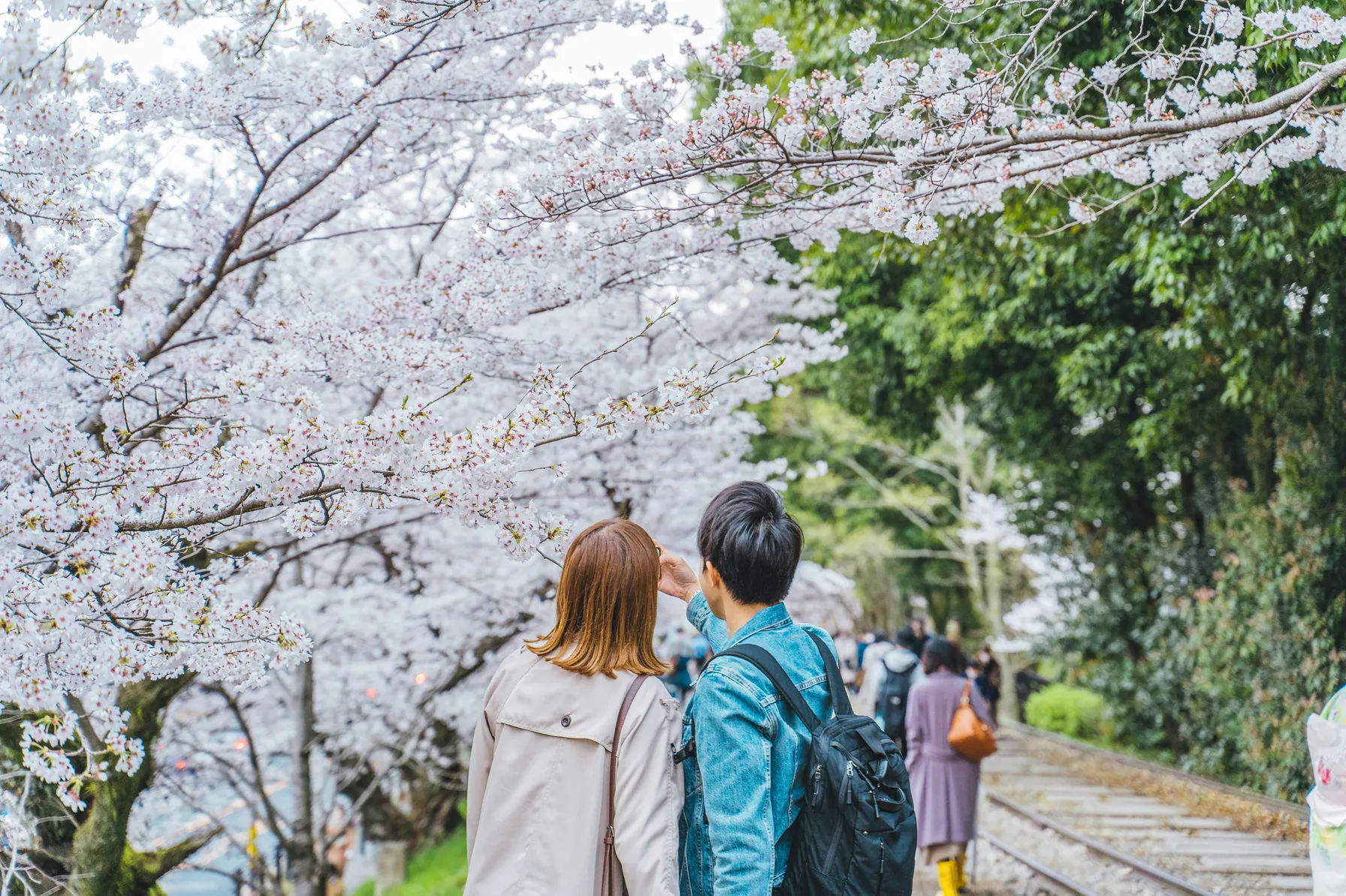 Voyage de noces au Japon