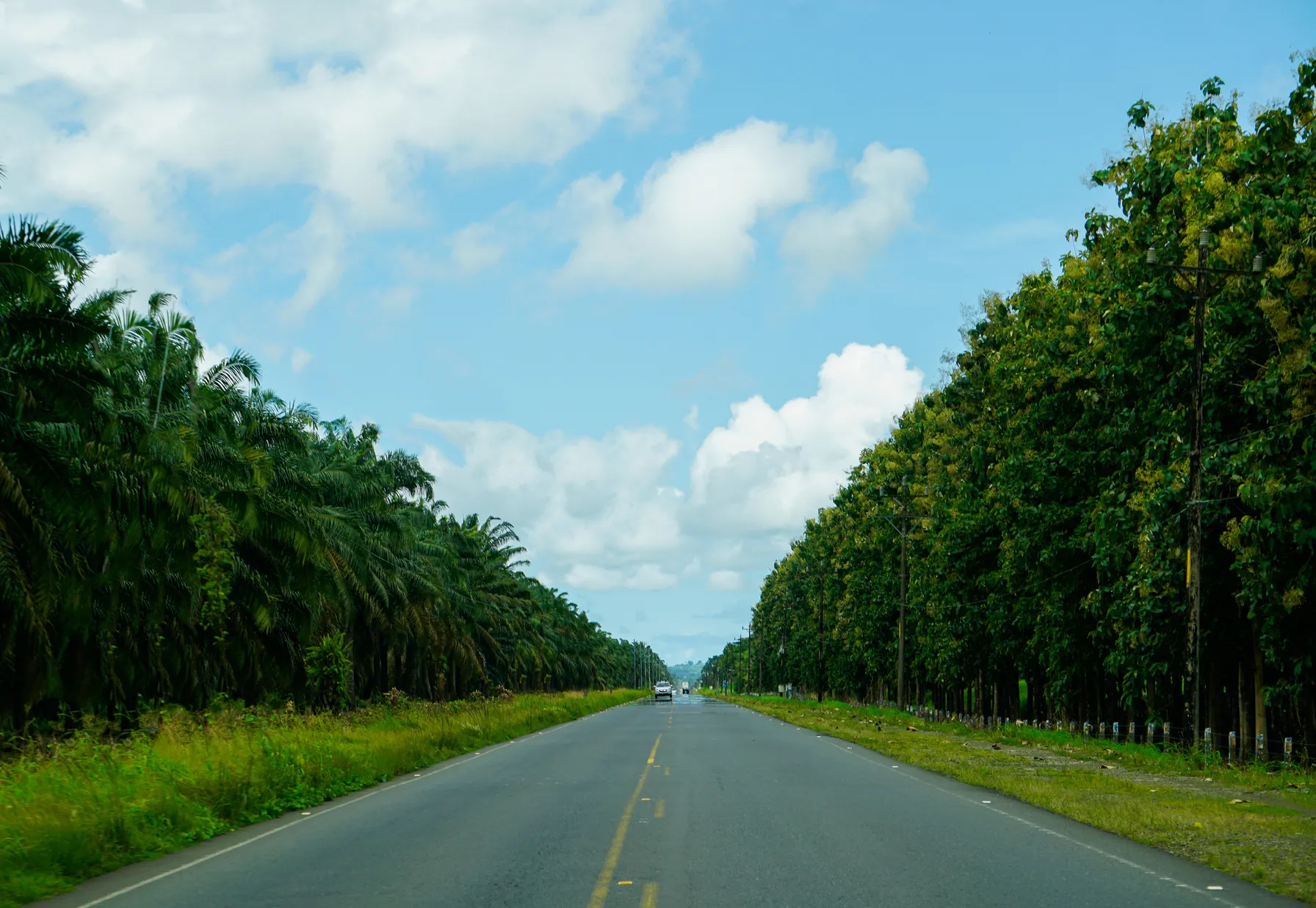 Roadtrip au Costa Rica