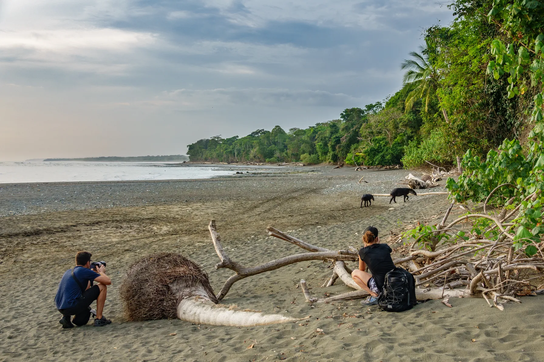 Safari au Costa Rica