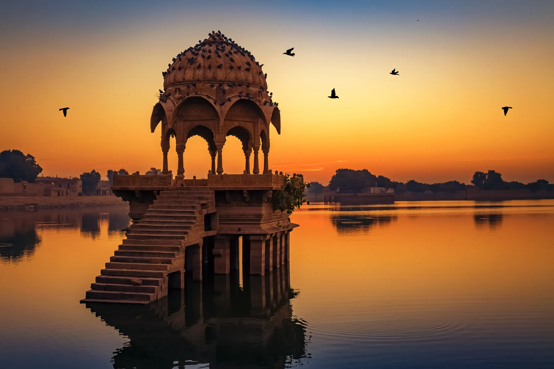 Circuit en Inde
