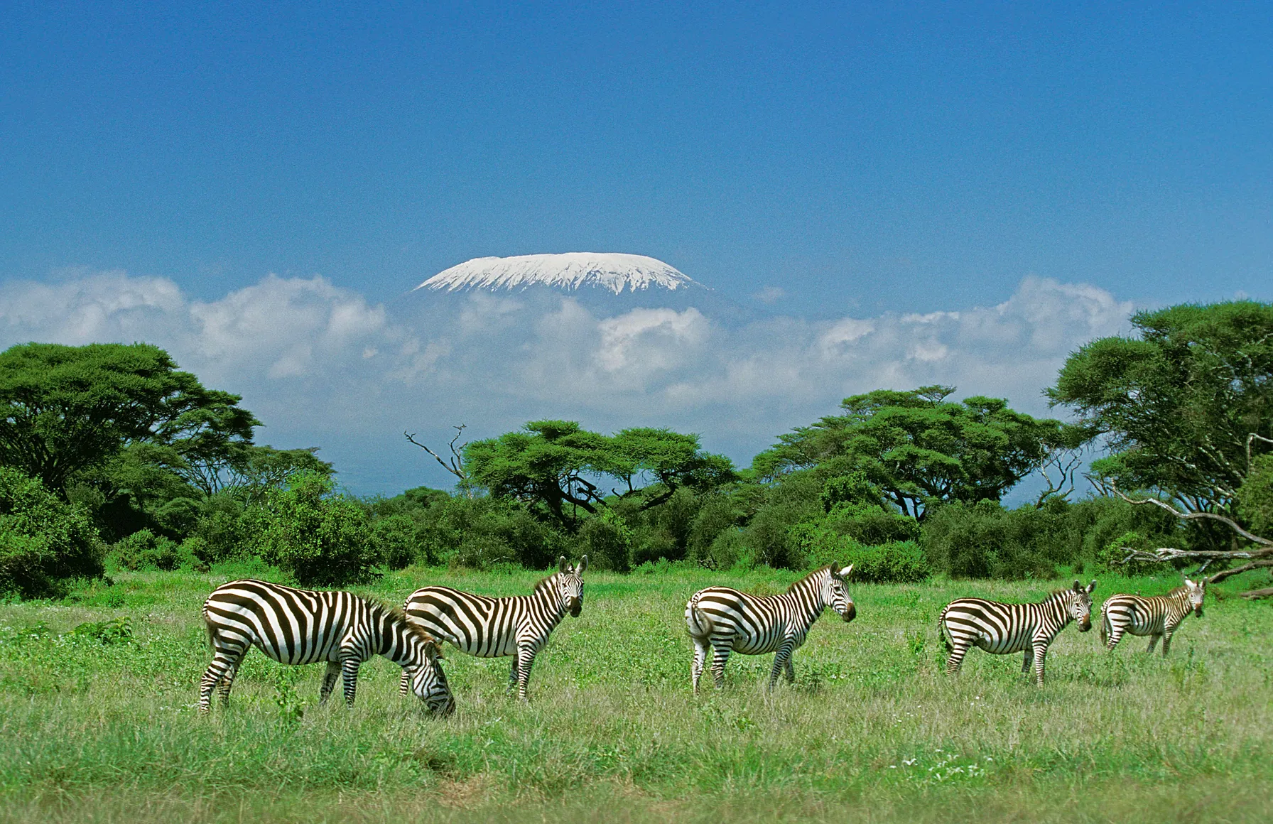 Tanzania Tour
