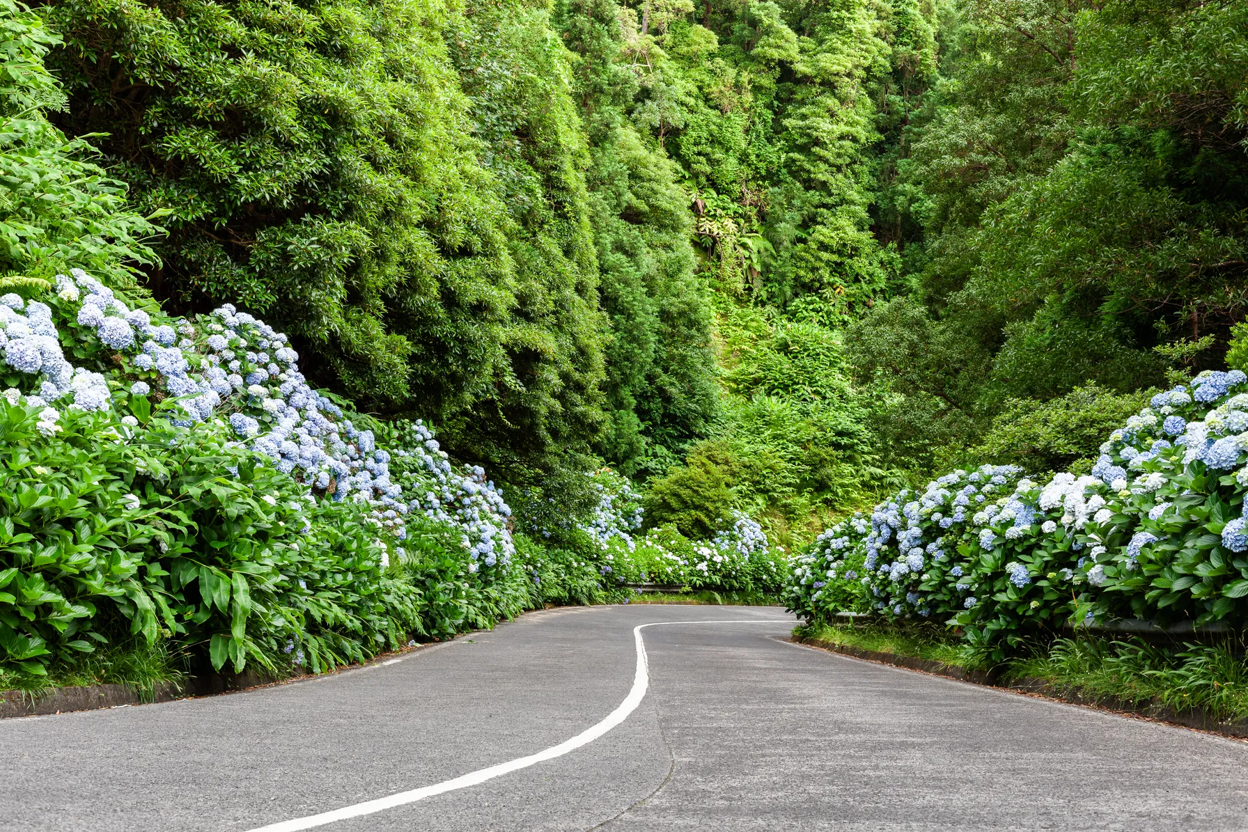 Roadtrip aux Açores