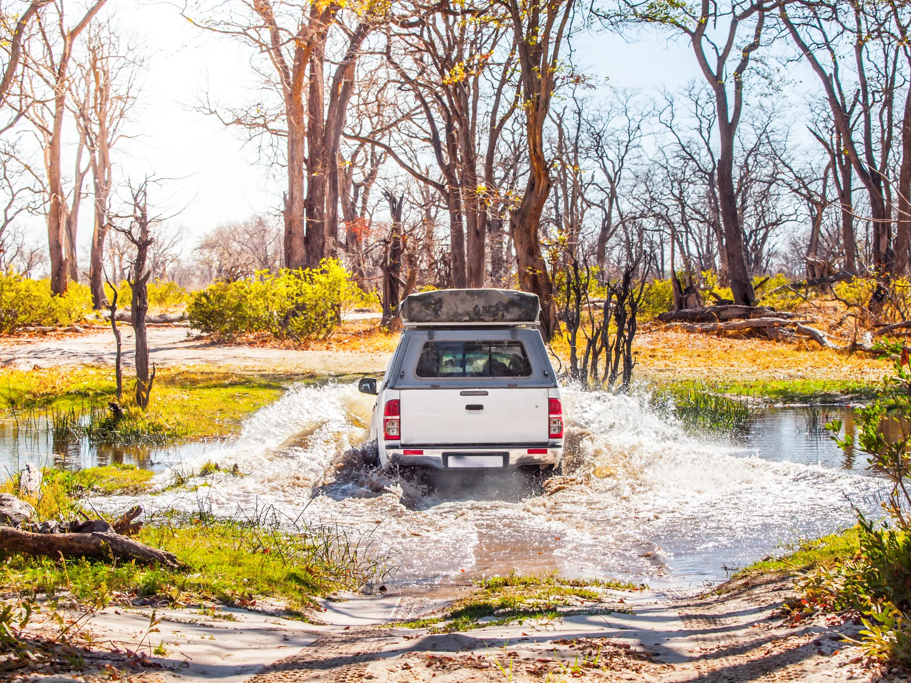 Roadtrip au Botswana