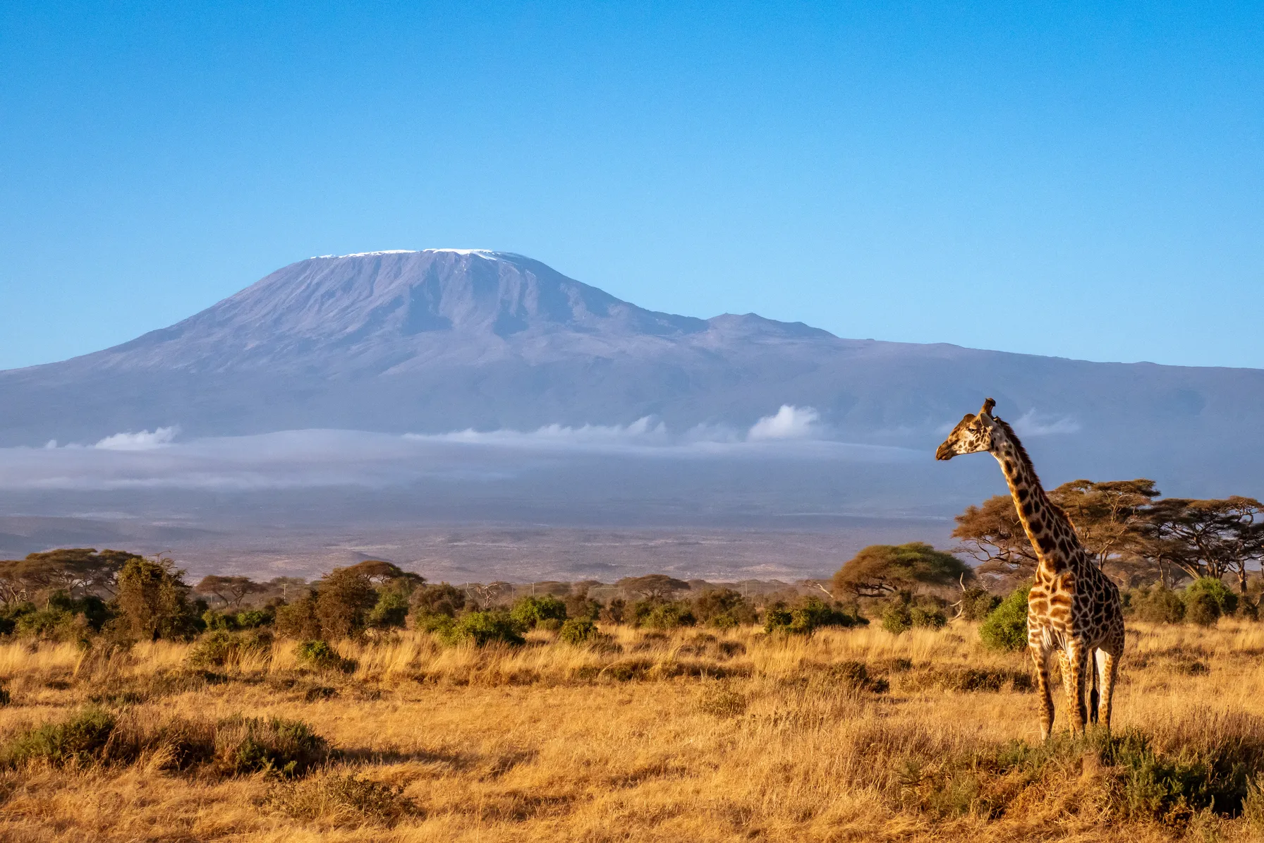 Roadtrip in Kenya