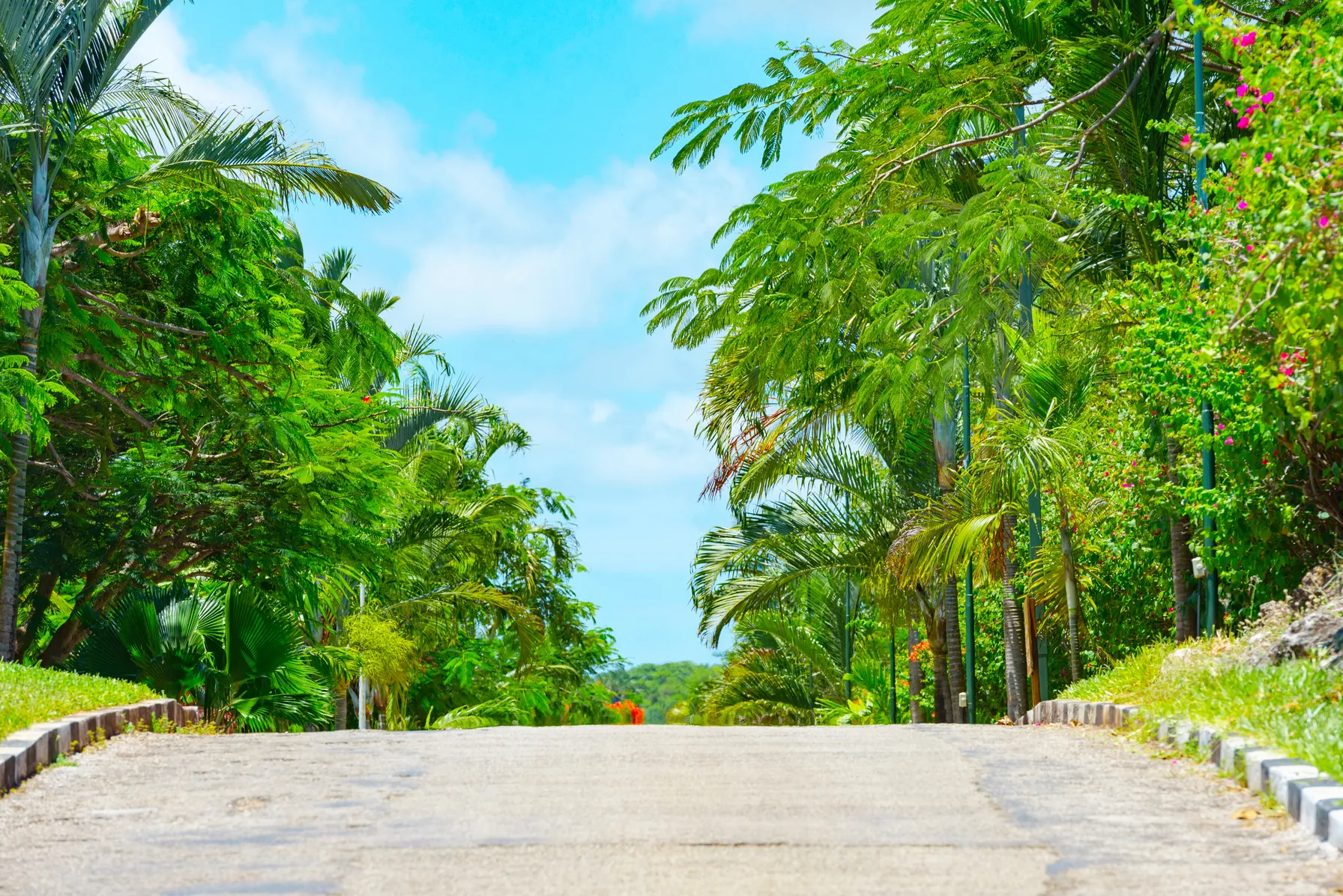 Roadtrip à zanzibar