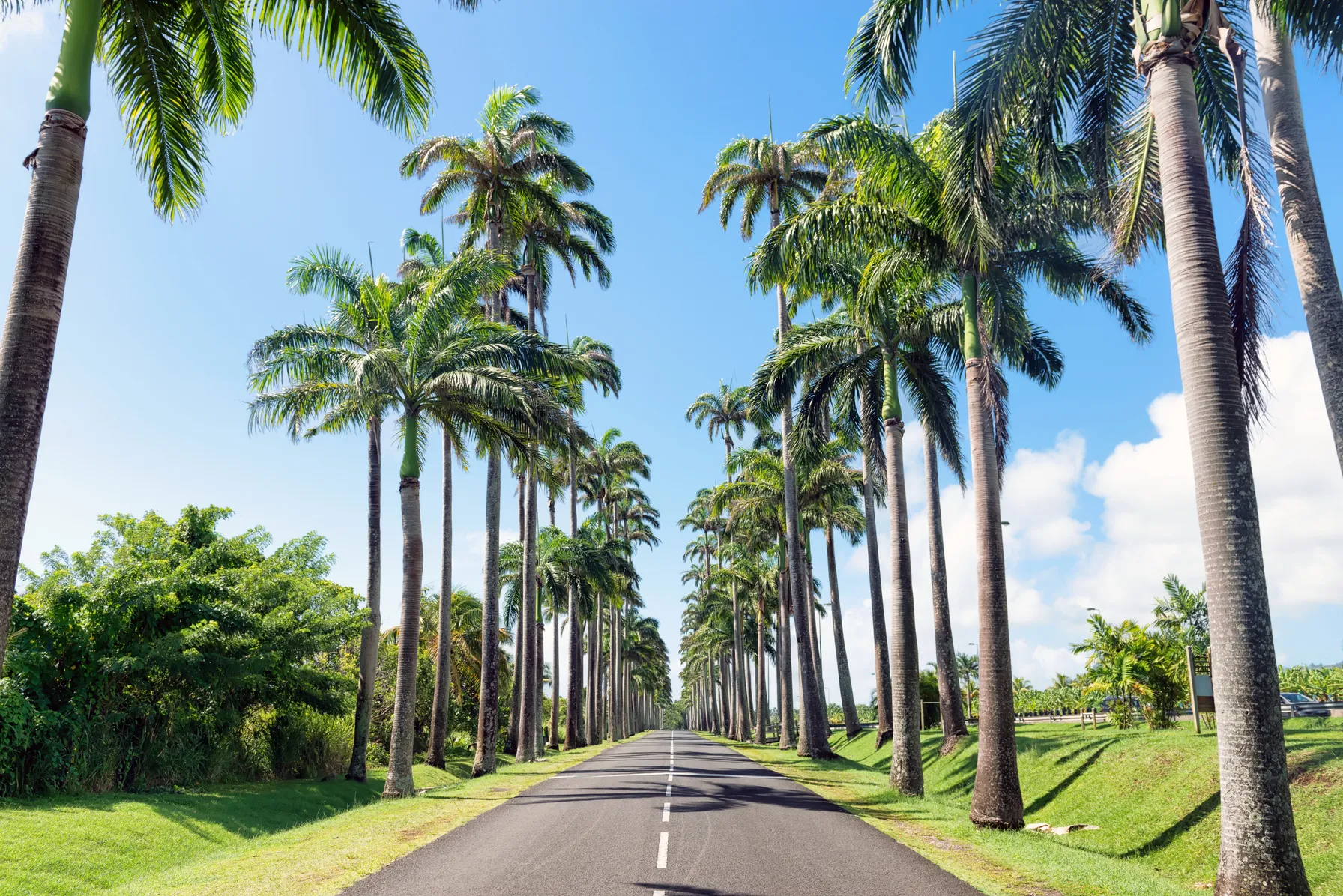 Roadtrip in Guadeloupe