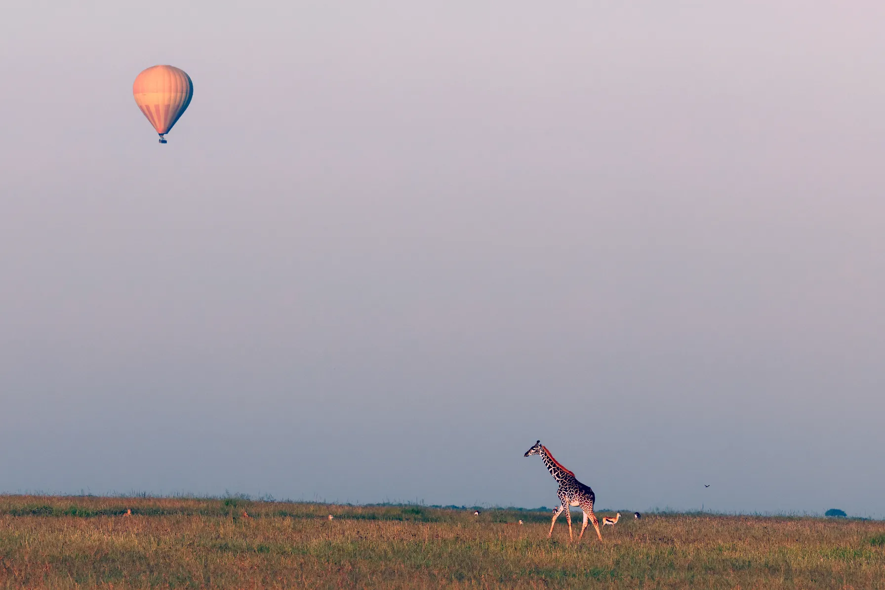 Luxury travel to Kenya