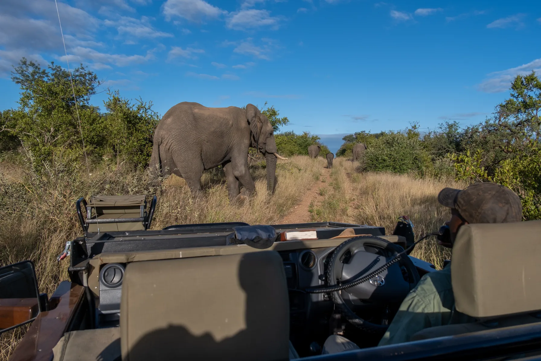 Voyage de luxe en Afrique du Sud