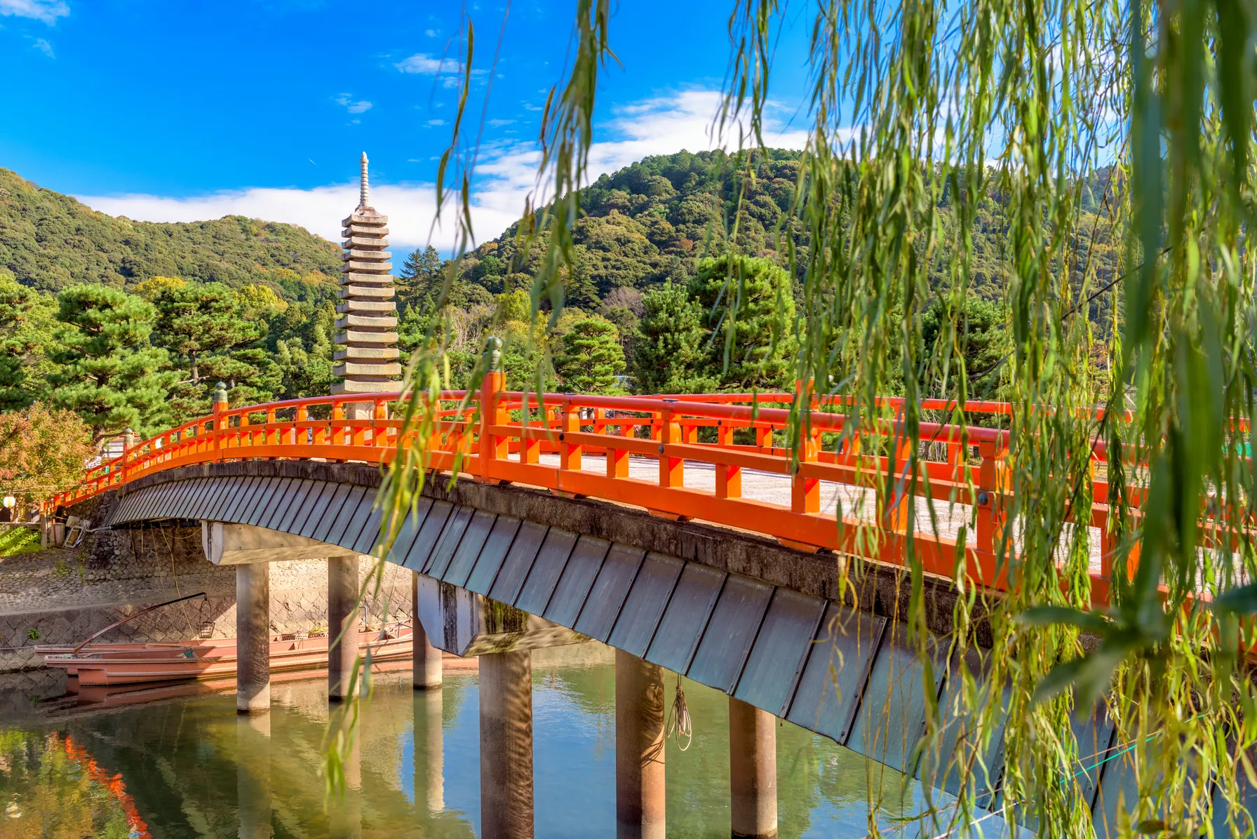 Uji