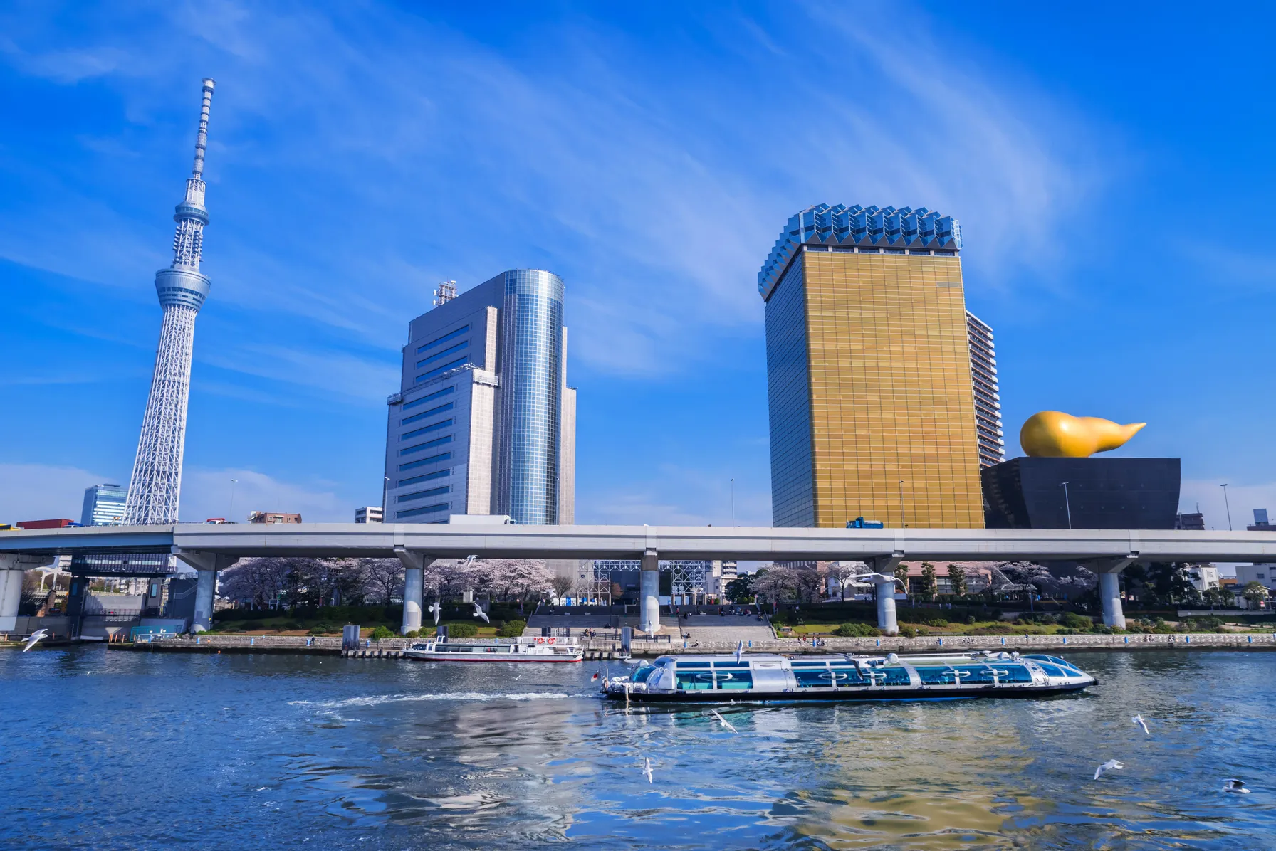 Cruise in Tokyo