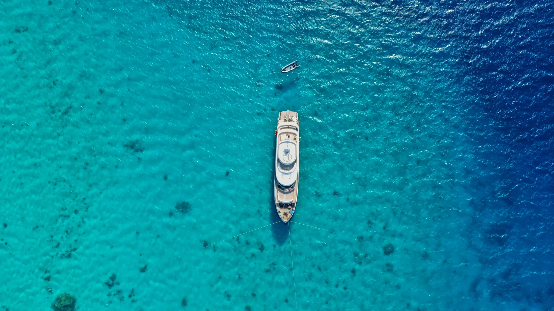 Red Sea Cruise