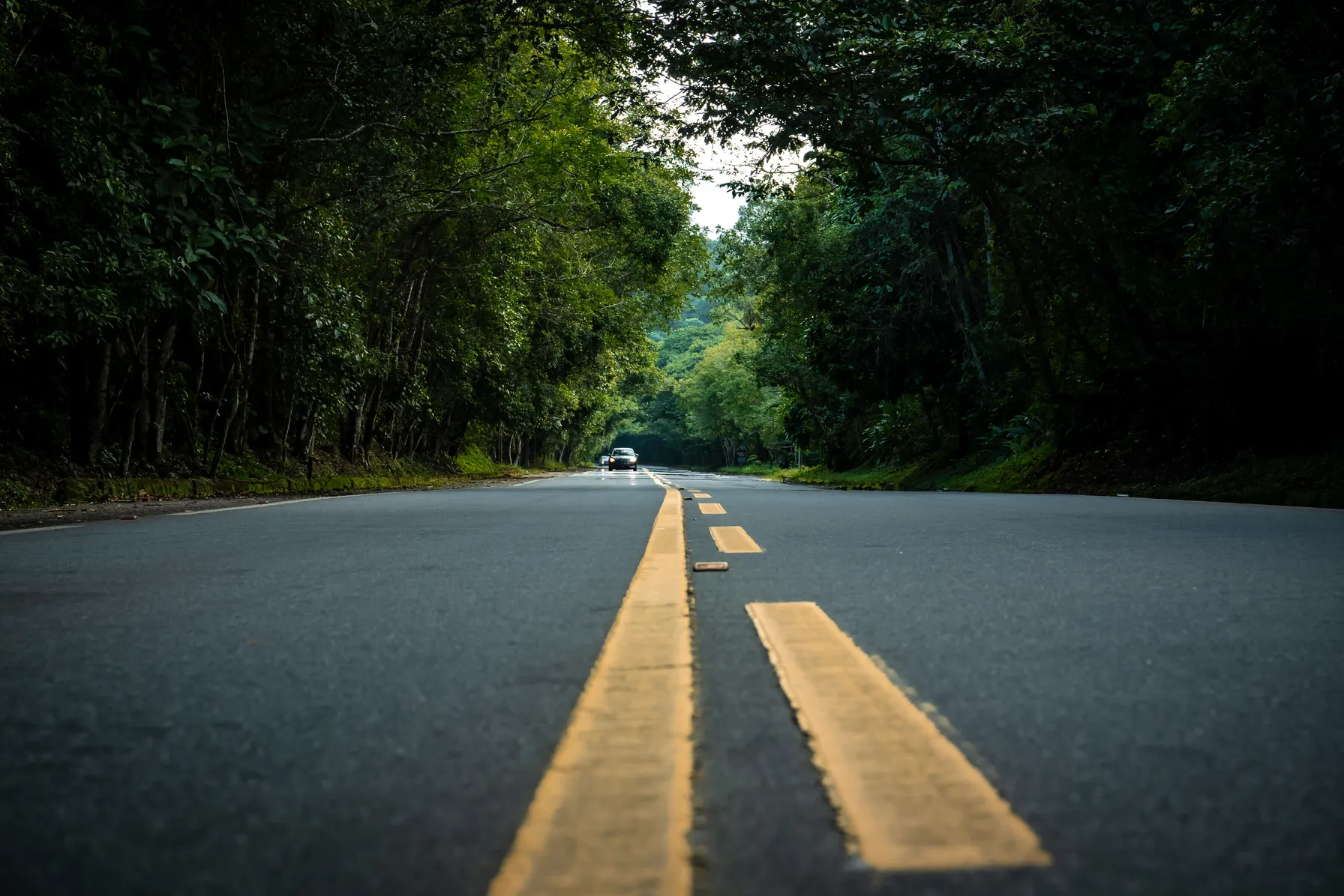 Roadtrip au Brésil