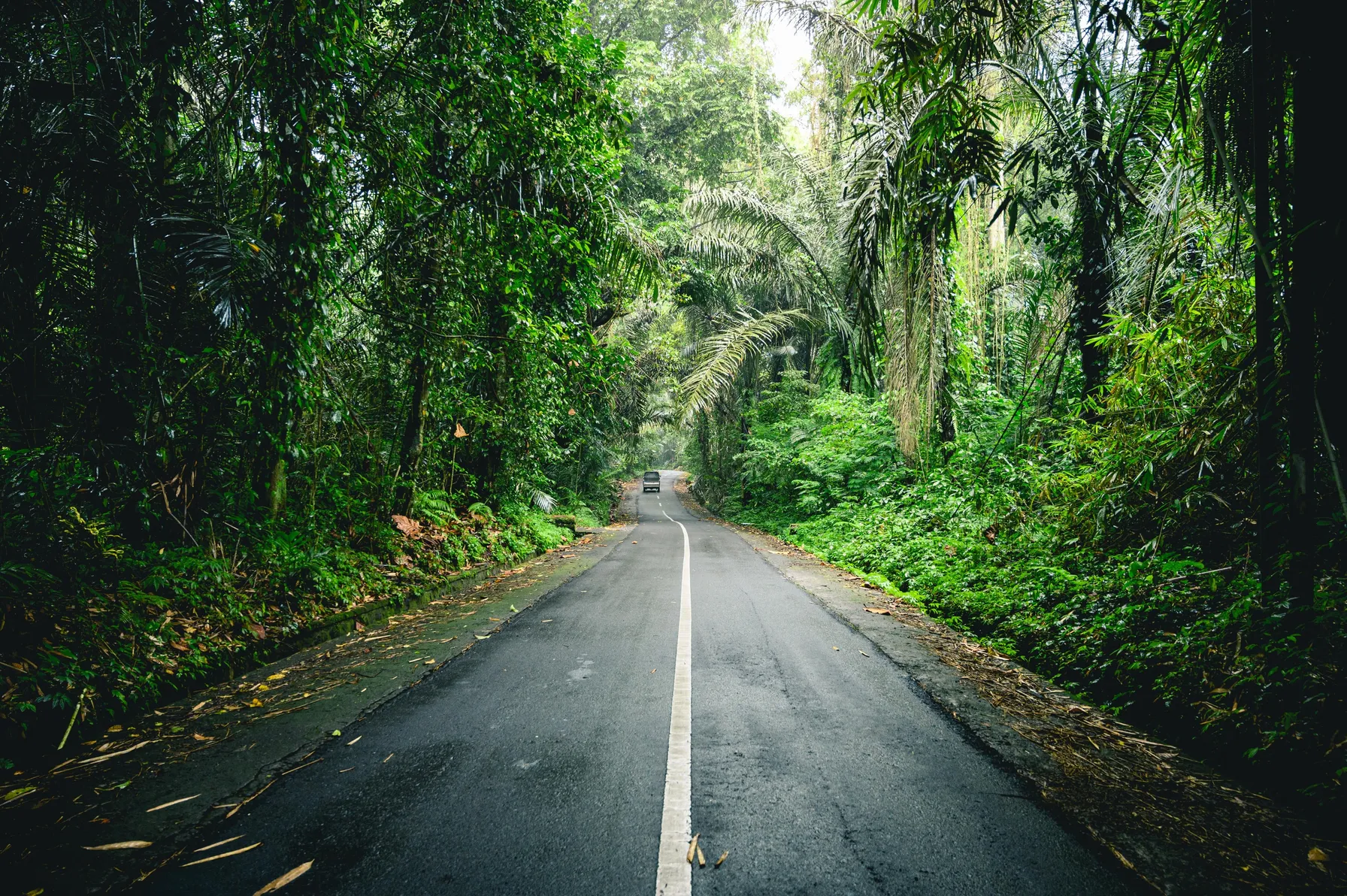 Roadtrip à Bali