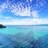 imageBermuda