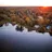 illustration image