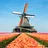 imagePays-Bas