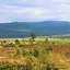 Swaziland