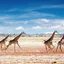 Namibia